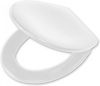 Tiger Soft close toiletbril Ventura duroplast wit 251490646 online kopen